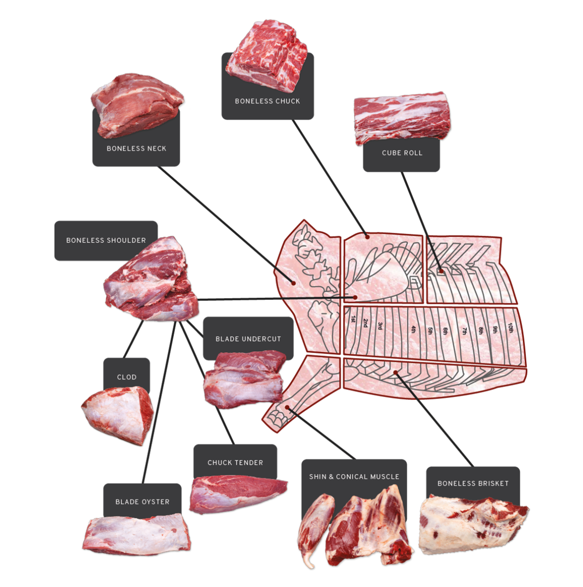 Beef Cuts - Beefmaster Expo Catalogue