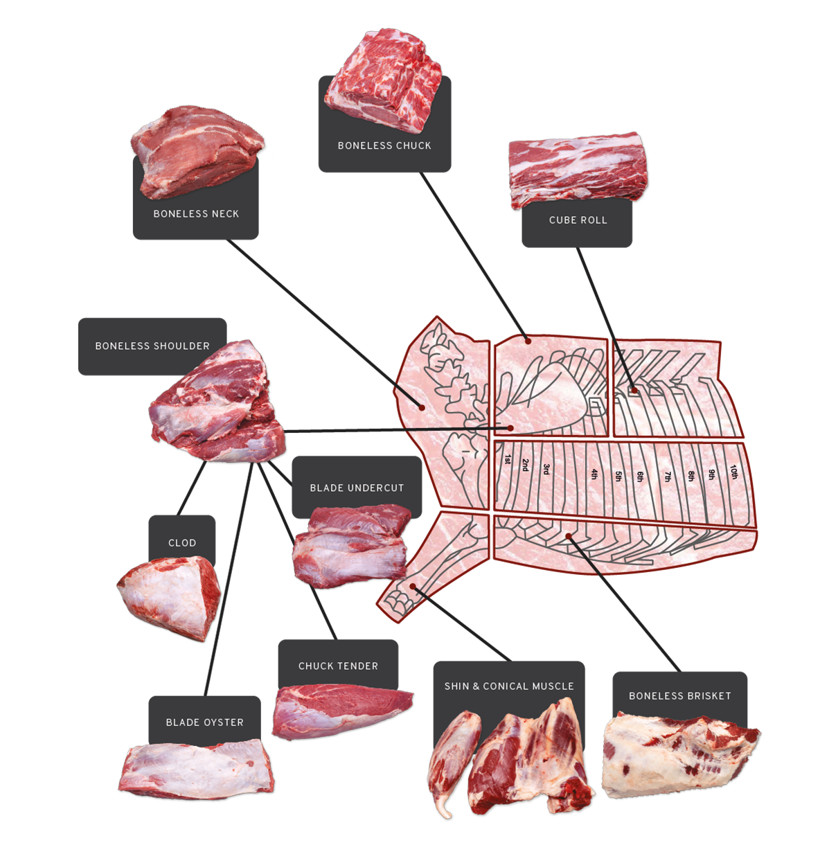 Beef Cuts - Beefmaster Expo Catalogue