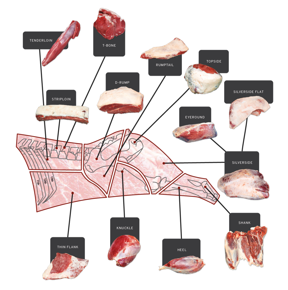 Hindquater Cuts - Beefmaster Expo Catalogue