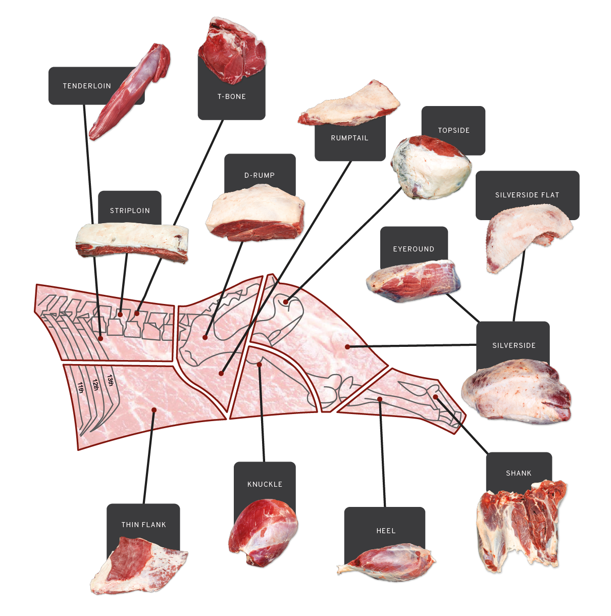 Hindquater Cuts Beefmaster Expo Catalogue